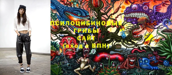 эйфоретик Алзамай