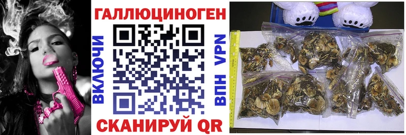 Псилоцибиновые грибы мухоморы  маркетплейс наркотические препараты  Шумерля 